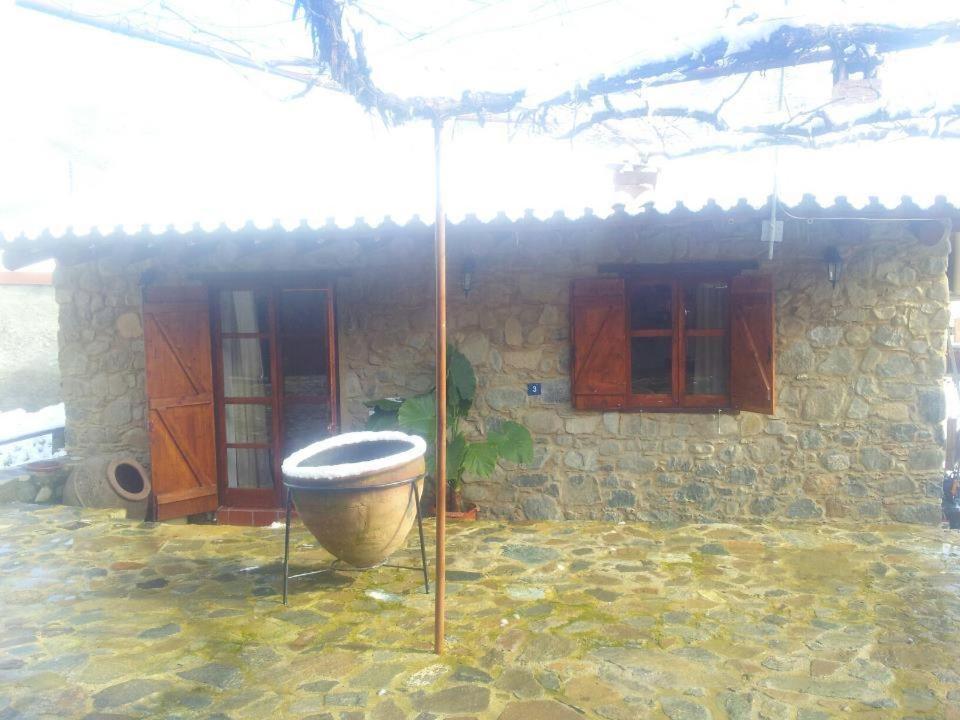 Xenis House * Галата