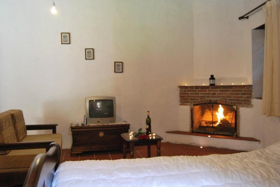 Xenis House *
